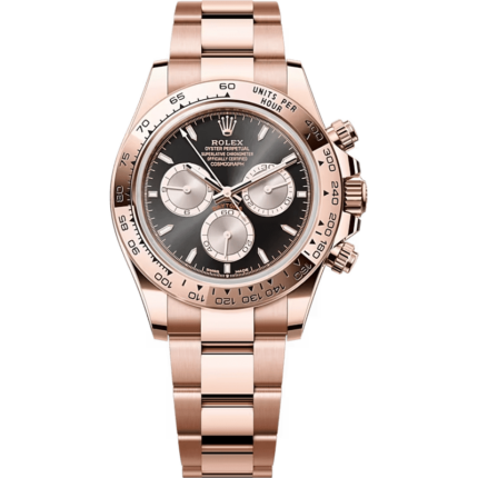 Rolex-126505-0001 Cosmograph Daytona Everose / Black - Sundust / Oyster