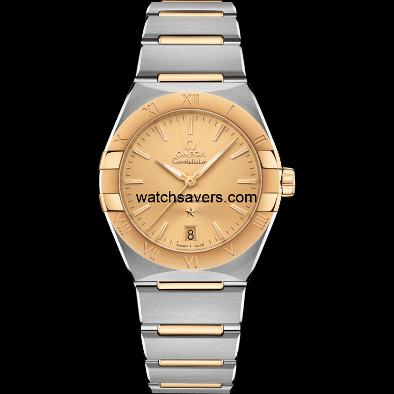 131.20.36.20.08.001 image01