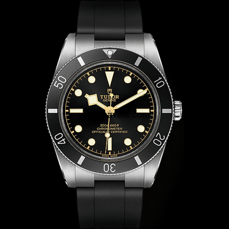 79000N-0002_image01.png 79000N 0002 image01